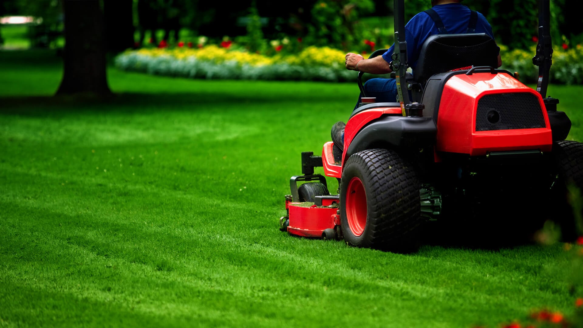 Green Lawn Care Service Near Me at Bonnie Clarke blog